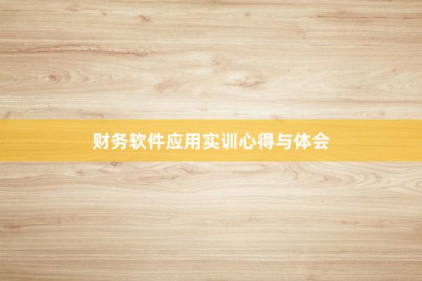 财务软件应用实训心得与体会